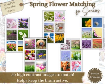 Activity for Seniors, Dementia Activities, Flower Sorting Game, Care Facility Activity, Brain Games, Dementia Aid, Activities Director