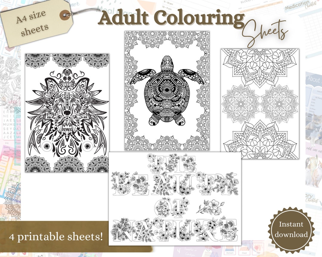 Adult Colouring Dementia Activities Dementia Colouring - Etsy