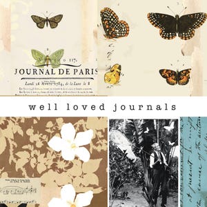 Può includere: Un collage di immagini con un'estetica vintage, che presenta farfalle, fiori e un ritaglio di giornale con il testo "JOURNAL DE PARIS" e "Lundi 16 Avril 1784, de la Lune le 8". Il testo "well loved journals" è stampato in un grande font nella parte inferiore del collage.
