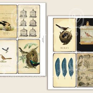 Kit Oiseaux 01 - Cartes postales, étiquettes et cartes journal