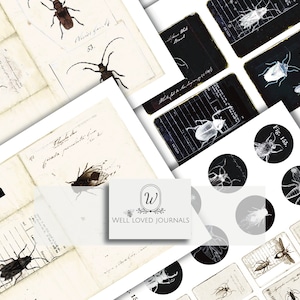May include: A collection of vintage insect illustrations, including beetles, flies, and moths. The illustrations are in black and white and have a distressed, antique look. The images are perfect for scrapbooking, card making, or other paper crafts.