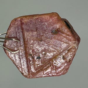 Könnte beinhalten: Ein roher, ungeschliffener Rubin-Edelstein, gehalten von einer Pinzette. Der sechseckige Rubin hat eine rötlich-rosa Farbe und eine strukturierte Oberfläche. Der Edelstein zeigt natürliche Linien und Unvollkommenheiten, die seine rohe Form hervorheben. Maße in Zentimetern.