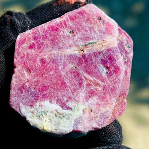 May include: A rough-cut, natural ruby gemstone. The ruby is a vibrant pinkish-red color with a textured surface and some areas of white and green. The gemstone is held in a black glove.