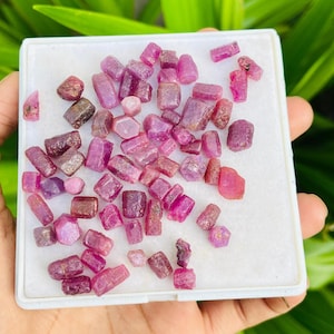 May include: A selection of raw ruby gemstones in a white tray. The rubies vary in shape and size, with colours ranging from deep red to light pink, and some with a purplish tint. The gemstones are rough-cut and have a natural, unpolished appearance.