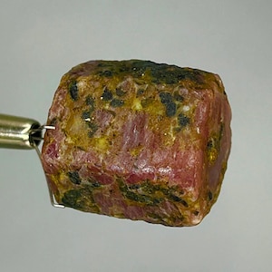 May include: A raw, cylindrical ruby crystal featuring a textured surface with a mix of deep red, earthy brown, and dark green mineral inclusions. The stone is held by a metallic pronged tool, showcasing its natural, unpolished, and rugged appearance.