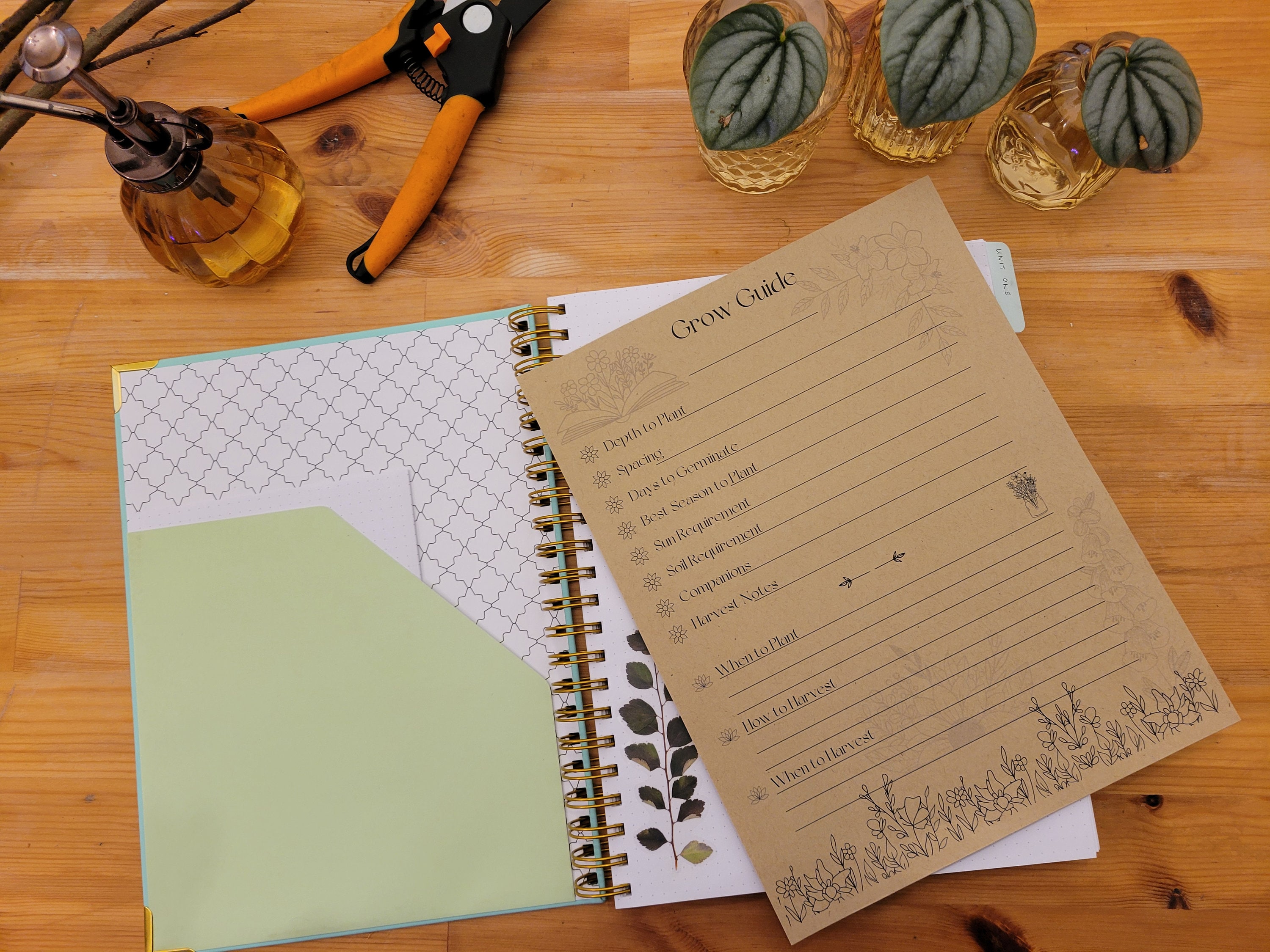 Plant Guide.pdf Plant Growing Guide (PDF Print Version) - Etsy