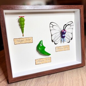 Chenipan #10 / Chrysacier #11 / Papilusion #12 - POKEMON Miniature de collection sous cadre style Taxidermie/Entomologie