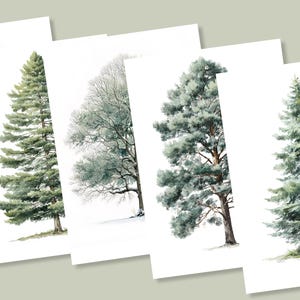 Set of 5 Watercolor Tree Art Cards, Nature Greeting Cards with Envelopes, Botanical Evergreen & Oak Illustration, Neutral Minimal Stationery