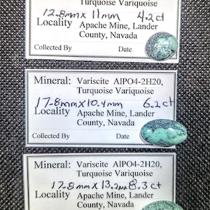 May include: Three labels with text describing Variscite gemstones, including measurements and locality. Each label is paired with a turquoise-colored, oval-shaped stone. The labels read "Apache Mine, Lander County, Nevada."