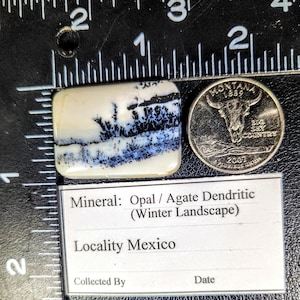 May include: A rectangular Opal/Agate Dendritic gemstone with a winter landscape pattern, next to a quarter coin. The stone features white, black, and blue patterns. The text on the label reads "Locality Mexico".