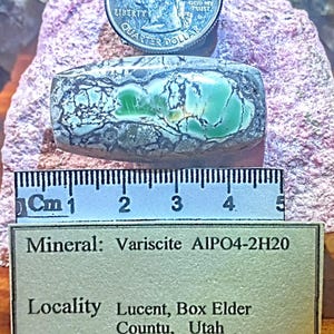 May include: A close-up of a green and gray variscite cabochon, a type of gemstone, with a ruler and a label that reads "Mineral: Variscite AIPO4-2H20 Locality Lucent, Box Elder Countu, Utah Collected By marklautbell57@gmail.com Date 57.81ct"