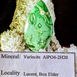 May include: A green variscite cabochon, a type of gemstone, with a white matrix. The stone is 31.74 carats and is from Lucent, Box Elder County, Utah. Mineral: Variscite AlPO4-2H20