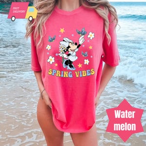 Pode incluir: Camiseta rosa com um gr&aacute;fico de Minnie Mouse segurando uma flor e borboletas. O texto "SPRING VIBES" &eacute; impresso abaixo do gr&aacute;fico.