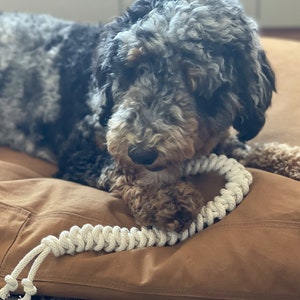 Macrame Cotton Dog Tug Rope Toy // THE SNAKE