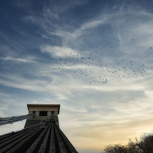 May include: A view from the top of a suspension bridge, looking down at the cables and the road below. The sky is a light blue with white clouds and a flock of birds flying in formation.