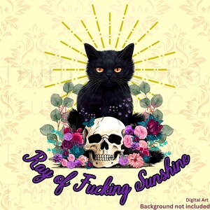 Rayo de sol png, gato negro png, gótico png, descarga digital, diseño de sublimación, Truth Hurts Company, flores, bruja png, DTF,