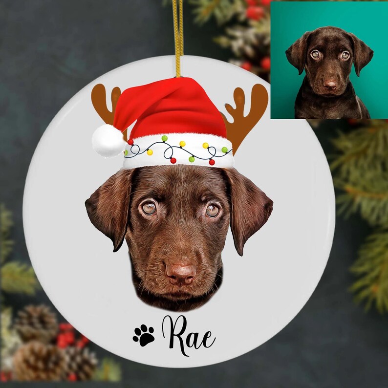 Custom Dog Photo Christmas Ornament Personalized Puppy Christmas Hat