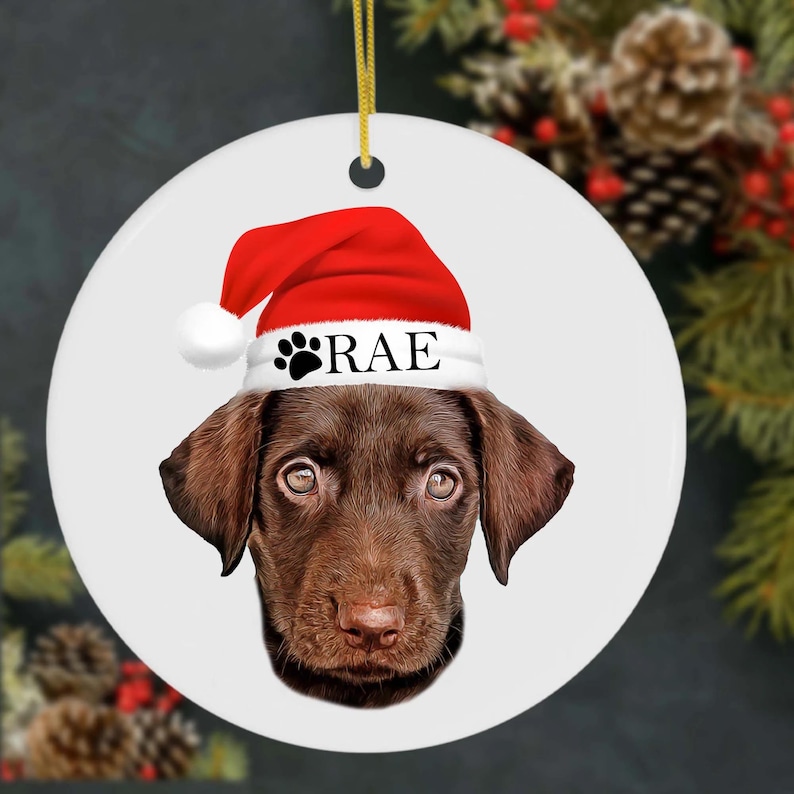 Custom Dog Photo Christmas Ornament Personalized Puppy Christmas Hat