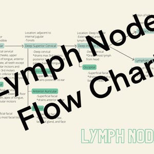 Può includere: Un cartello in legno rustico con la scritta "Welcome to our home" in stile scritto a mano. Il cartello rettangolare presenta una finitura invecchiata e un design semplice e accogliente, adatto per interni o esterni.