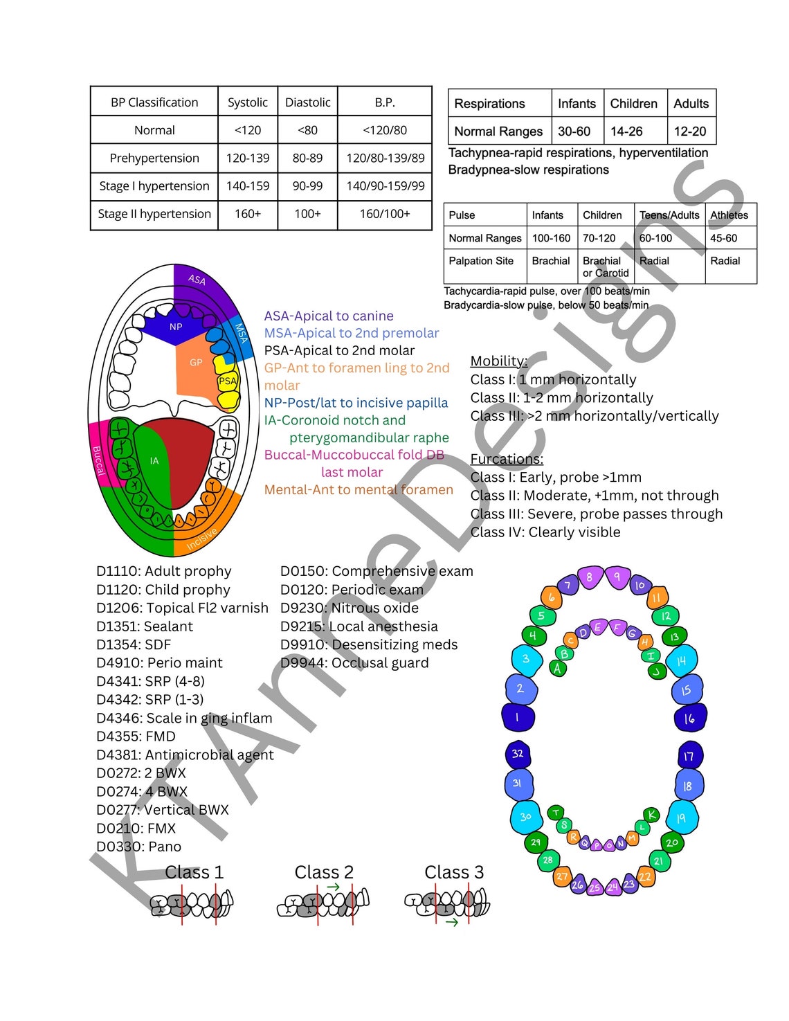 Dental Hygiene Clinical Cheat Sheet DIGITAL DOWNLOAD, Primary and