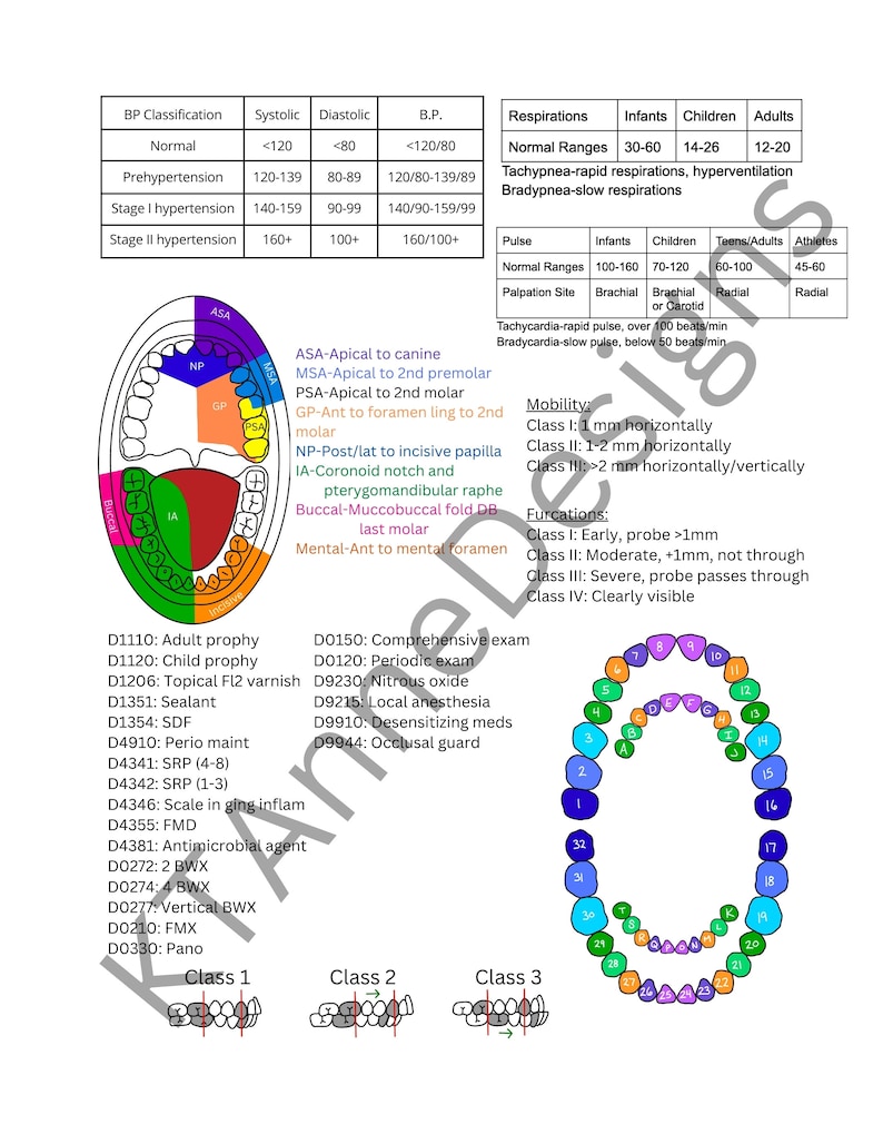 Dental Hygiene Clinical Cheat Sheet DIGITAL DOWNLOAD, Primary and