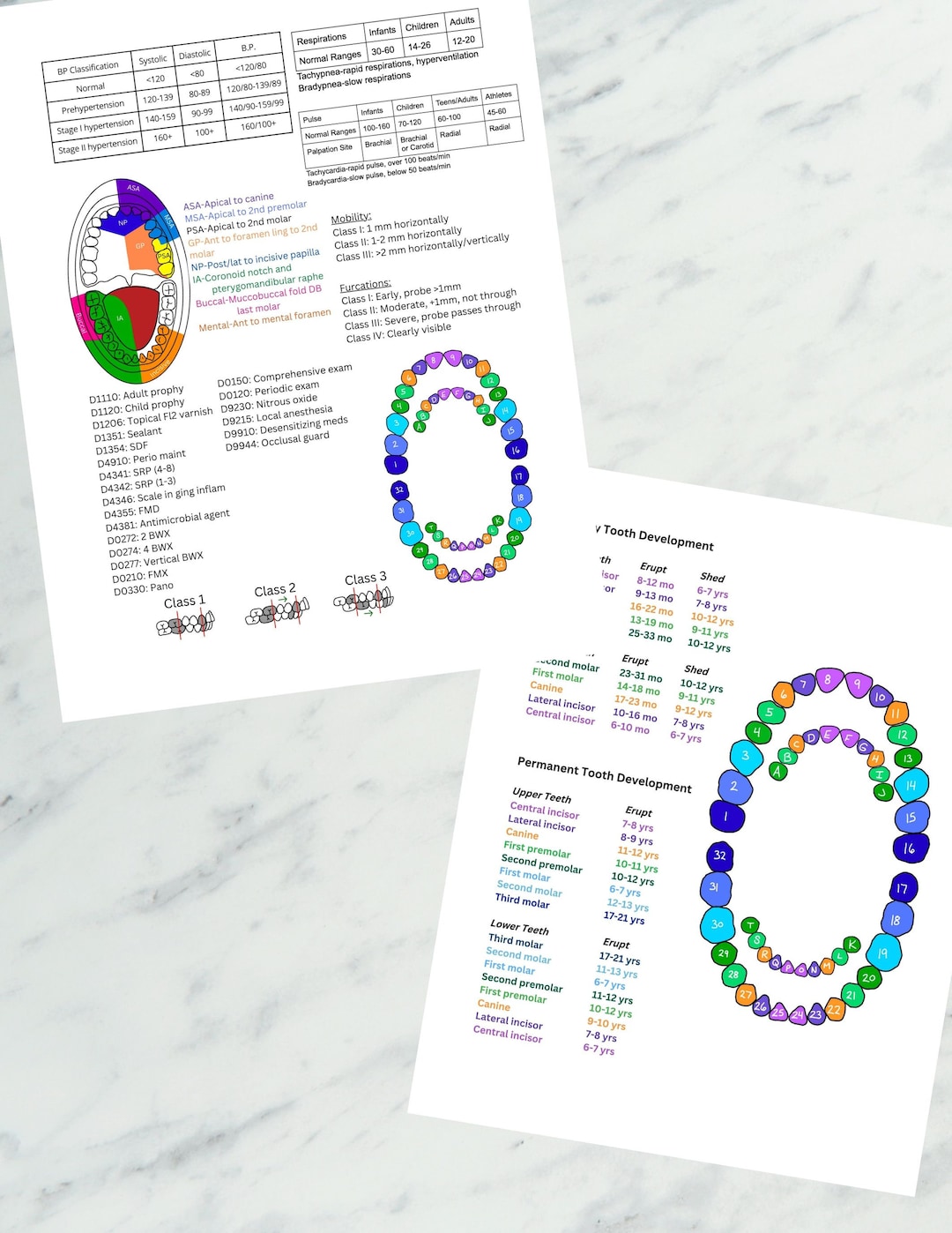 Dental Hygiene Clinical Cheat Sheet DIGITAL DOWNLOAD, Primary and
