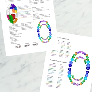 Dental Hygiene Clinical Cheat Sheet DIGITAL DOWNLOAD, Primary and ...