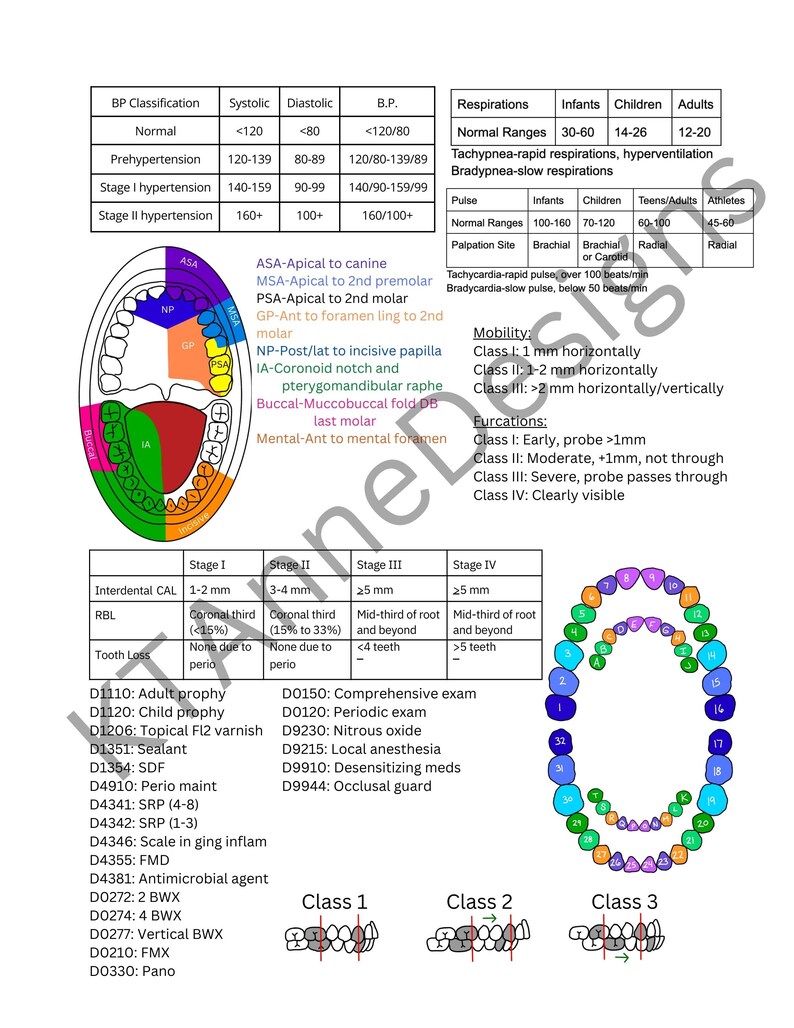 Dental Hygiene Clinical Cheat Sheet DIGITAL DOWNLOAD Primary Etsy