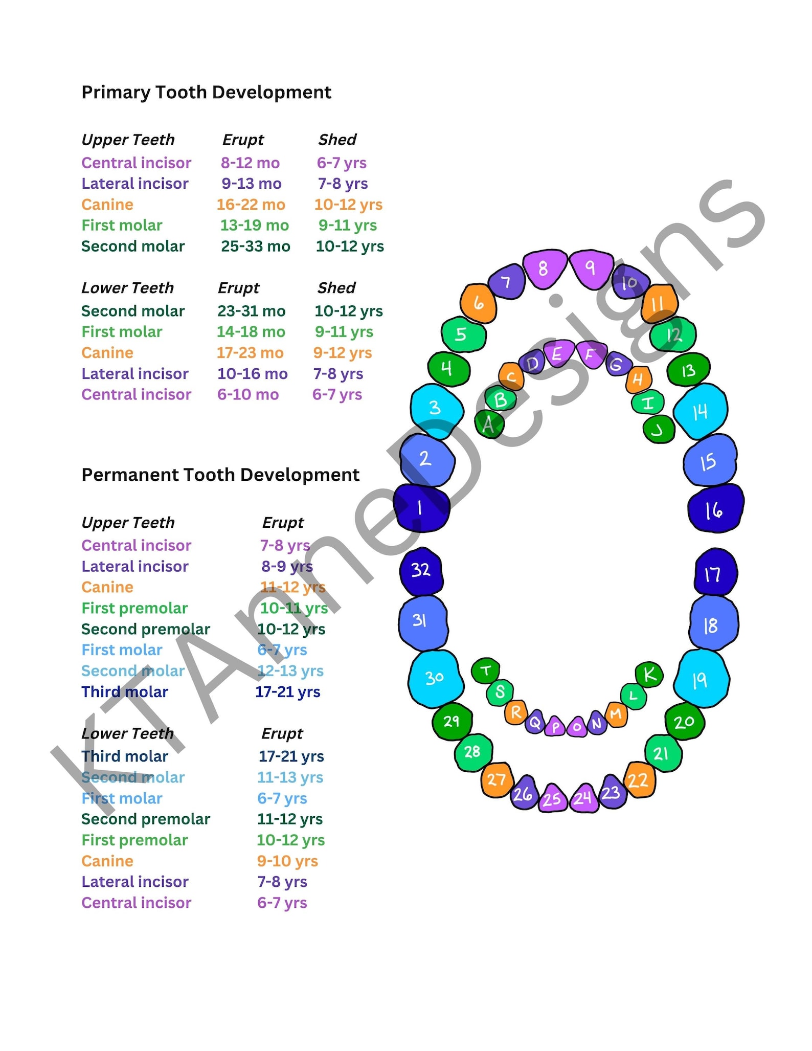 Dental Hygiene Clinical Cheat Sheet DIGITAL DOWNLOAD, Primary and
