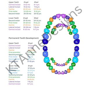 Dental Hygiene Clinical Cheat Sheet DIGITAL DOWNLOAD, Primary and ...