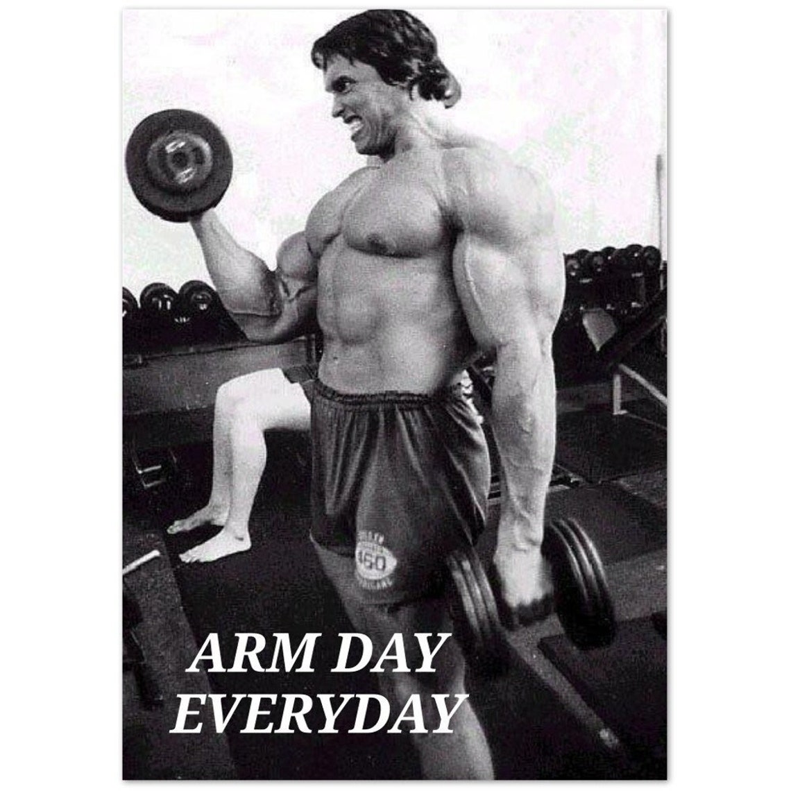 Arm Day Everyday Motivational Poster Etsy