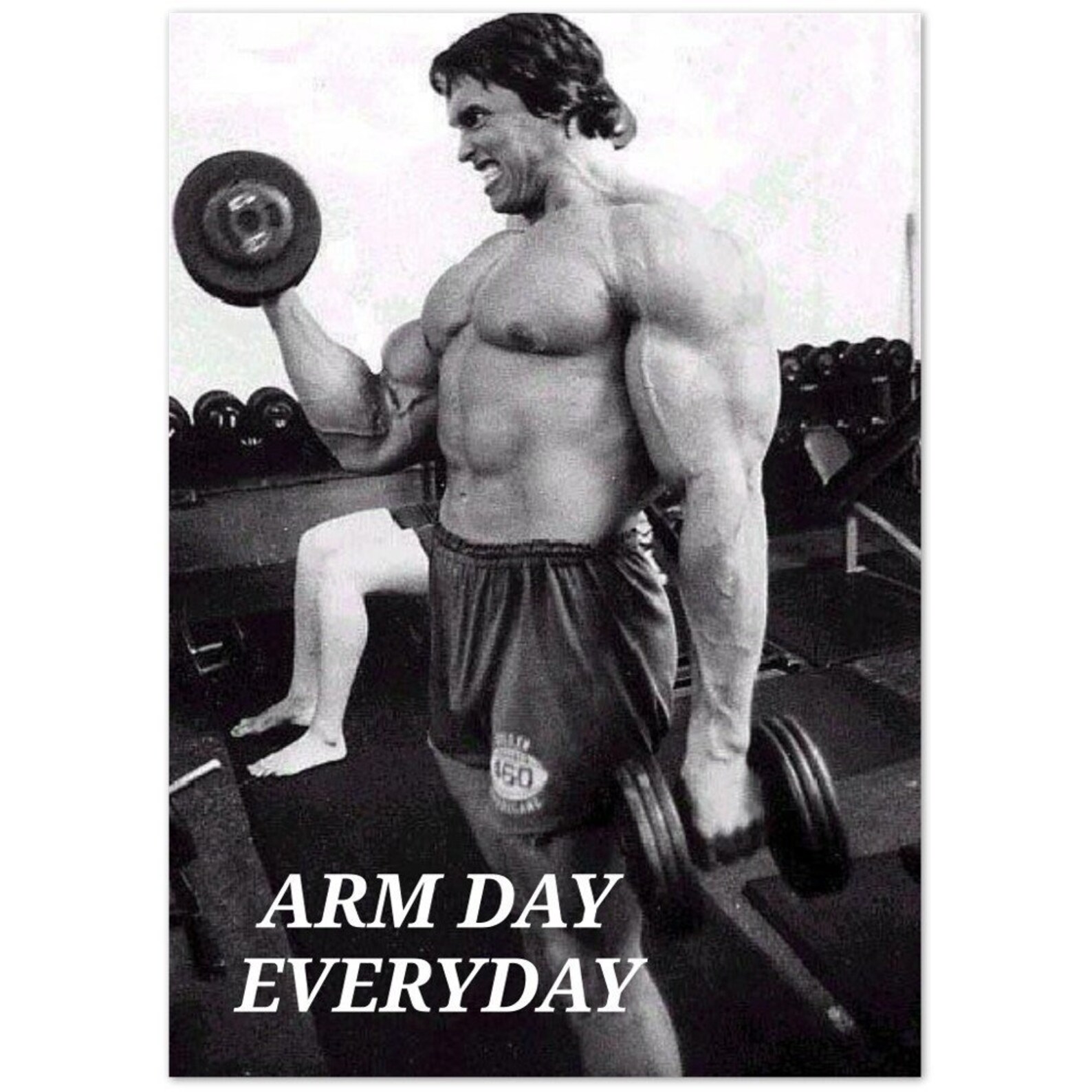 Arm Day Everyday Motivational Poster Etsy