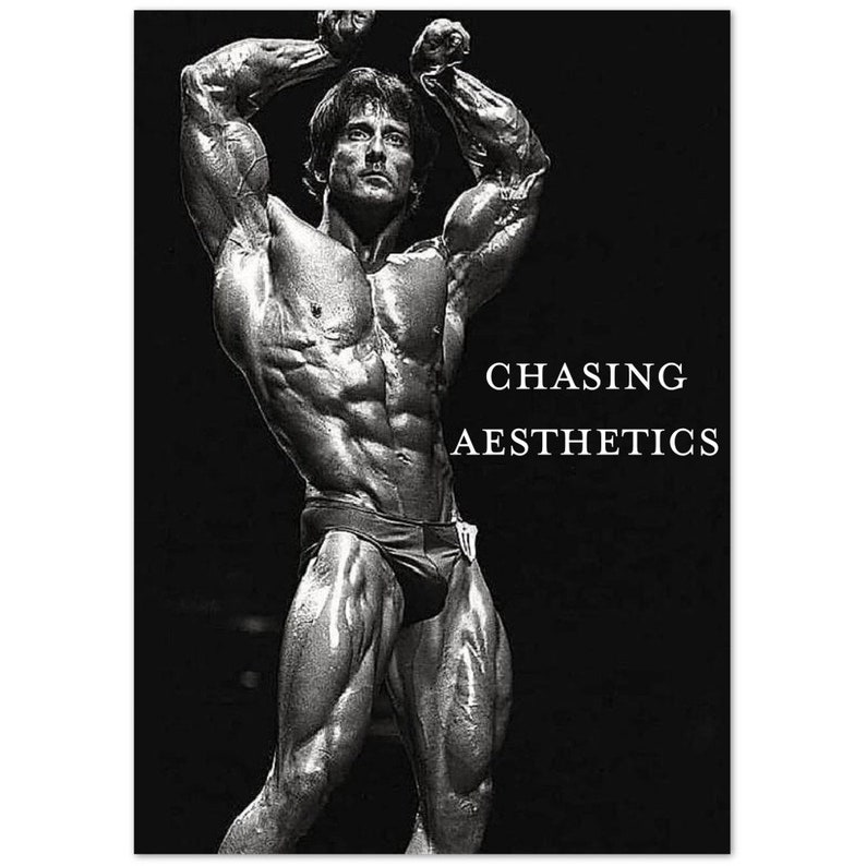 chasing-aesthetics-poster-etsy