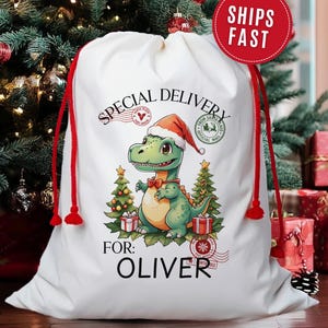 May include: White Christmas gift bag with a red drawstring. The bag features a green dinosaur wearing a Santa hat and bow tie, with the text "SPECIAL DELIVERY FOR: OLIVER". The bag is decorated with Christmas trees and presents.