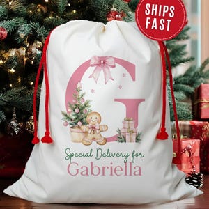 May include: White Christmas gift bag with a pink letter "G" and bow, a Christmas tree, gingerbread man, and gifts. The bag has red drawstring cords and the text "Special Delivery for Gabriella".
