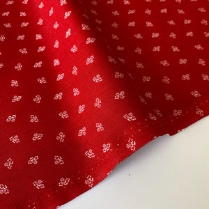 Fleur en rouge grange / Prim / Lori Holt / Riley Blake Designs / Par incréments de 1/2 mètre et 1 mètre