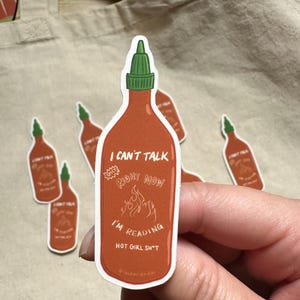 Hot Sauce Spicy Book Sticker, I Can&#39;t Talk Right Now I&#39;m Reading Hot Girl Sh*t, Gift for Readers, Funny Bookish Sticker