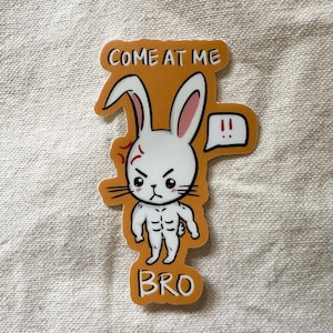 Kom bij mij, broer!!! Sticker konijntje, sticker konijntje (mat vinyl gestanste sticker), sticker schattig konijntje