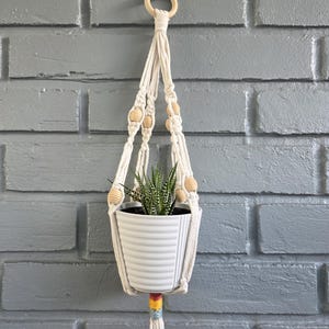 May include: A macramé plant hanger with a white ceramic pot holding a small succulent. The off-white cotton hanger has wooden beads and a wooden ring for hanging. The pot has vertical stripes and is suspended against a grey brick wall.