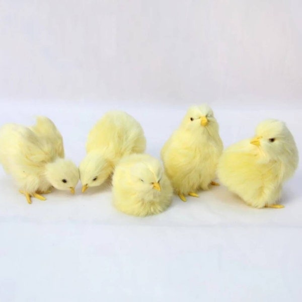 Realistic Furry Baby Chicks