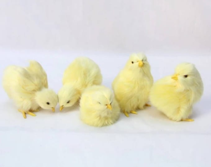 Mini Resin Fuzzy Chick In Box S/12 – Transpac Brands
