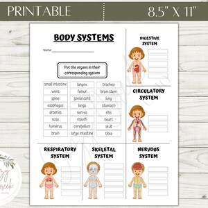 Printable Body Systems Worksheet | Human Body Systems | Elementary ...