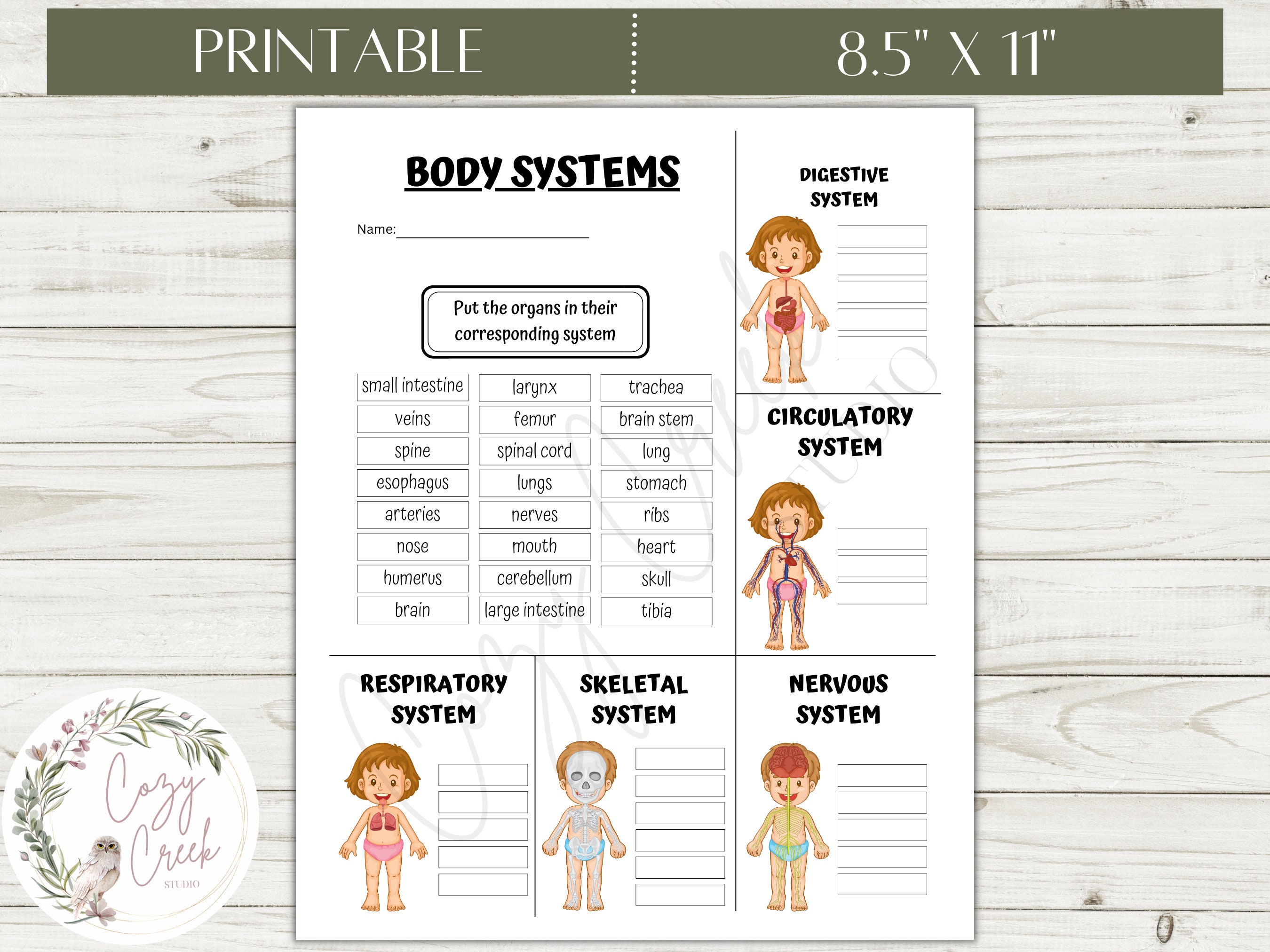 Printable Body Systems Worksheet | Human Body Systems | Elementary ...