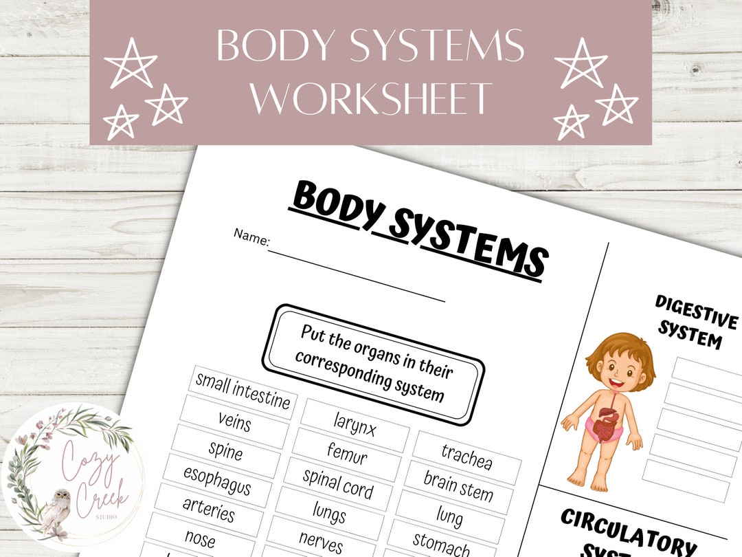 Printable Body Systems Worksheet Human Body Systems Elementary School