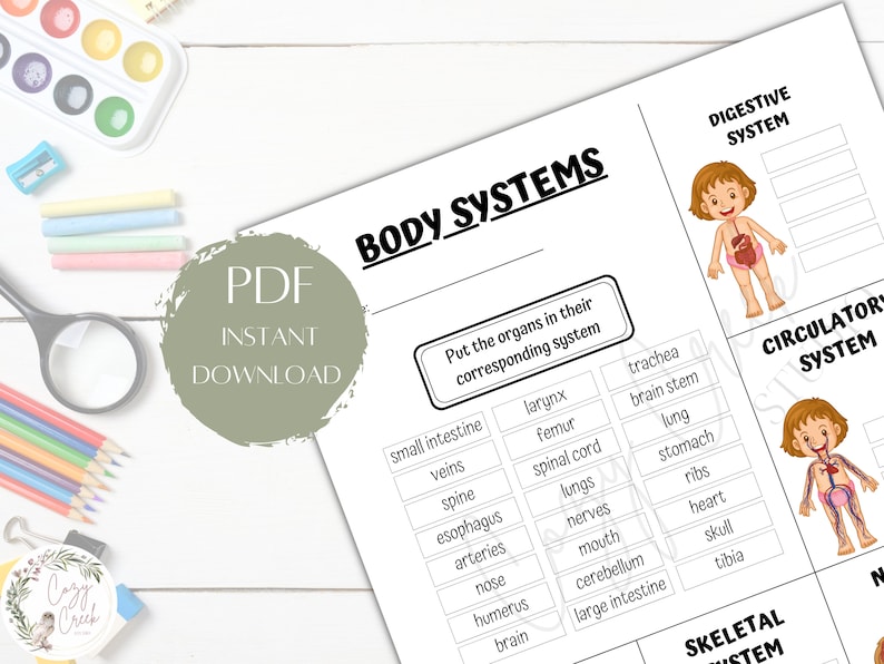 Printable Body Systems Worksheet Human Body Systems Elementary School