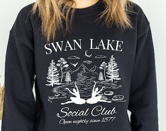 Swan Lake Ballet Sweatshirt, Ballet Tees, Ballet Dancer Gift, Dance Teacher Shirt, Gift for Ballerina, Odette Shirt, Odile Shirt, Funny Tees