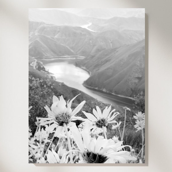 Spring Wildflower Wall Art Poster, Boise National Forest Idaho, Black & White Daisy Flower Landscape Photo | Printable Home and Office Decor