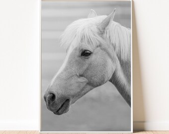 Portretafdruk paard: rustieke boerderij zwart-witfotografie (digitale download)