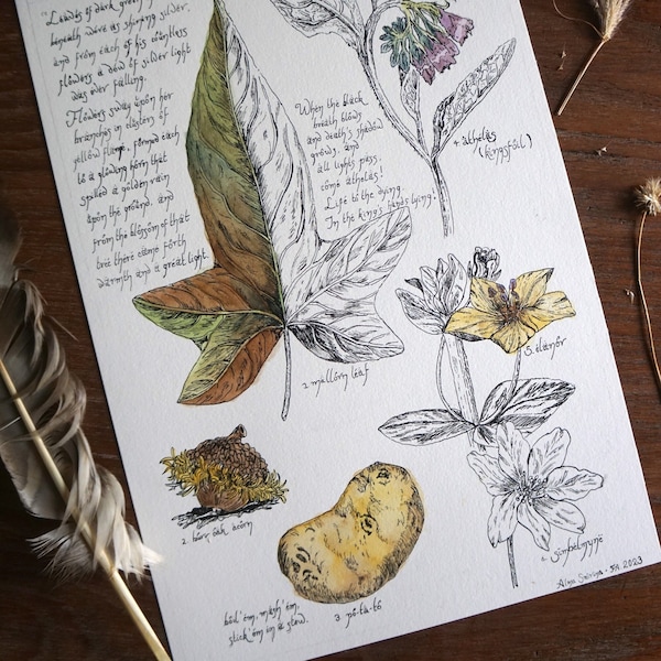 Arda Botanicals - LOTR poster DIGITALE DOWNLOAD - Middle Earth magische geneeskrachtige kruiden grafiek - cottagecore bloemenmuurkunst voor boekenliefhebbers