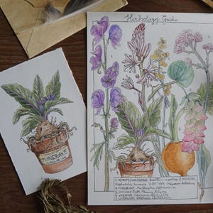 Alraune Kunstdruck & Alraune Pflanze Poster Set - Botanische Aquarell Heilkräuter Karte, Grüne Hexe Apotheker Küche Deko